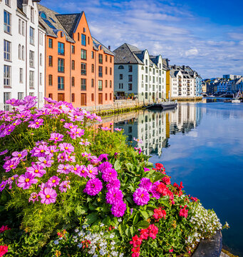 Beautiful summer flowers frame the colorful buildings of Alesund, Norway