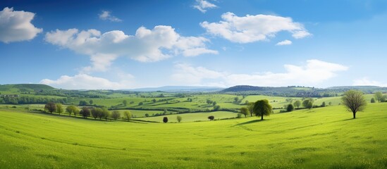Naklejka premium A tranquil meadow with the countryside in the background, revealing vast farm fields - with copy space image.