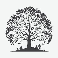 Fototapeta premium Print Majestic Ginkgo Tree Silhouette, Nature's Timeless Elegance