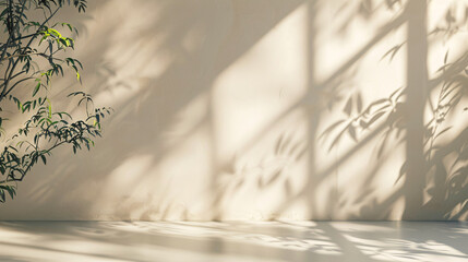 Light beige background with intricate shadows from window and vegetation for product presentation