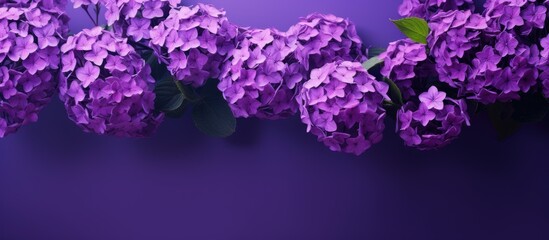 Vibrant purple flowers blooming beautifully in the copy space image.