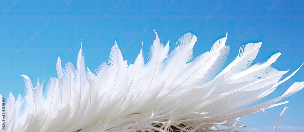 Poster white feathers on a cactus against a blue sky in a copy space image.