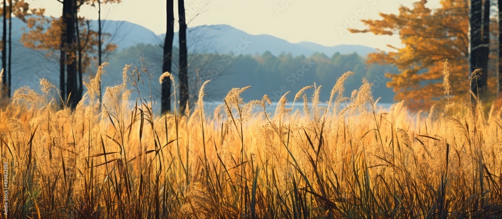 Aufkleber autumn grass set against a forest background, designed with a copy space image.
