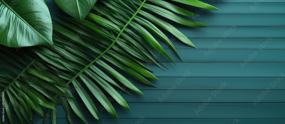 Poster capture a bird's-eye view of tropical palm leaves arranged for a flat lay composition with copy spac