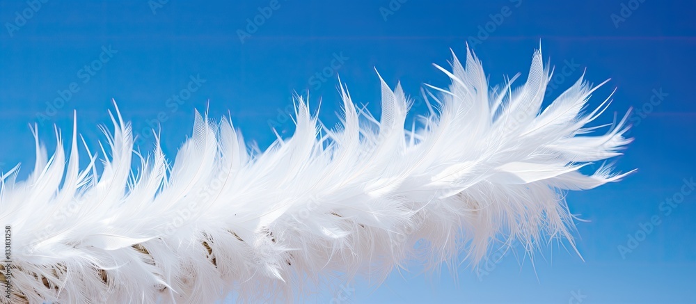 Poster white feathers on a cactus against a blue sky in a copy space image.