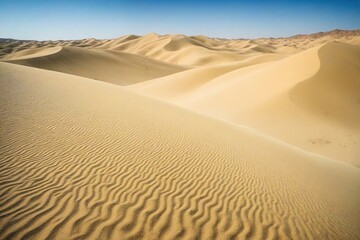 sand dunes in the desert