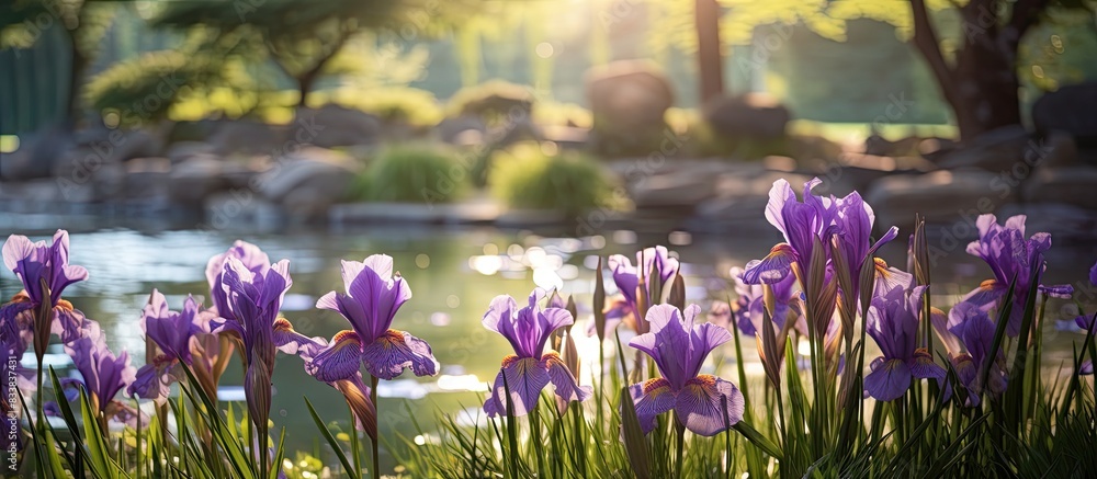 Poster blooming purple irises create a picturesque scene in a garden, set against a backdrop with copy spac