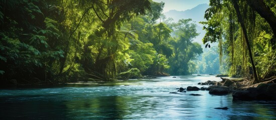 Lush tropical river in the rainforest with abundant flora and fauna, providing a serene setting for various wildlife, such as birds and monkeys, in a natural habitat. Ideal for a copy space image.