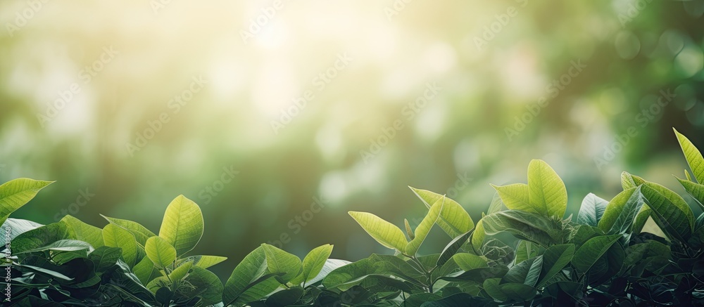 Poster blurred background frames vibrant green leaves in the copy space image.