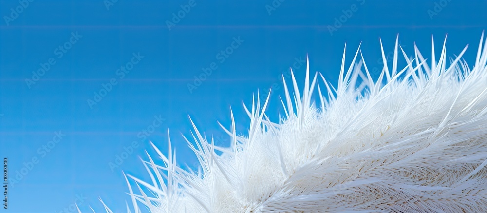 Poster white feathers on a cactus against a blue sky in a copy space image.