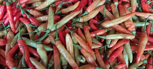 Fresh red chilies