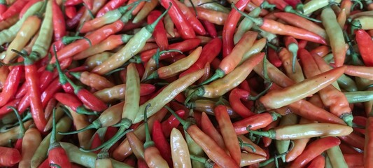 Fresh red chilies