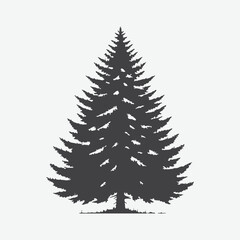 Obraz premium Print Majestic Silhouette of a Spruce Tree Against the Sky