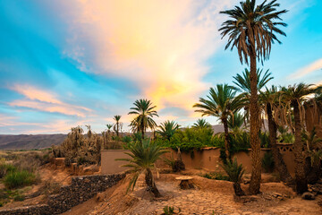 Palm trees on desert at sunset near Agdz town in Atlas Mountains, Morocco, North Africa