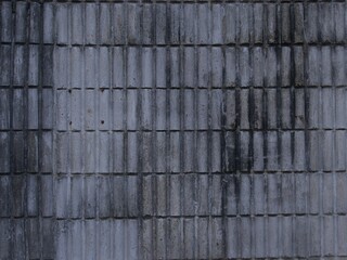 The old brick wall has traces of moss or black mold all over the area. Black mold can be caused by moisture accumulated in walls, dirt, areas where sunlight cannot reach. Should apply anti-fungal