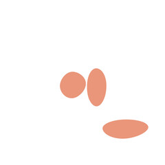 An abstract isolated retro boho oval shape design element.