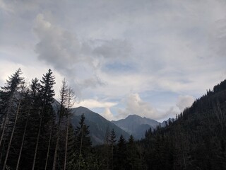 road in the mountains, a view of the mountains and forest from the road