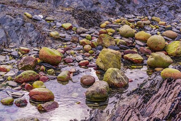 Rocks and shells on the coast