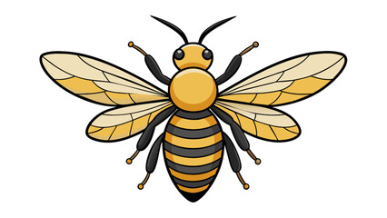 A black and yellow striped bee pollinates a white flower in a summer garden