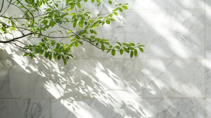 Spring sunlight on green tree branch with shadow on white marble tile wall, white copy space. Generative ai