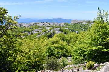 Fototapeta premium Itxina karstic massif. Gorbeia (or Gorbea) Natural Park. Basque Country. Spain
