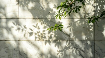 Spring sunlight on green tree branch with shadow on white marble tile wall, white copy space. Generative ai