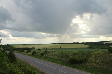 A road through a field