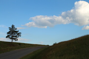 A road with a tree on the side