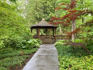 Obraz premium Japanese garden in the park