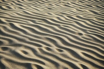 Fototapeta premium sand background