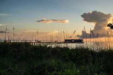 A view of Main Street Pier on Anna Maria Island with foreground vegetation
