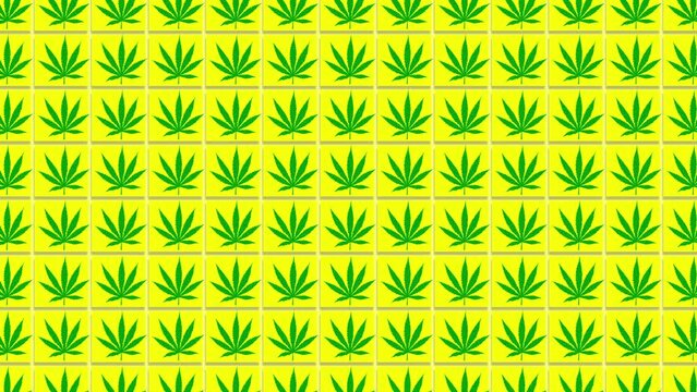 Cannabis Leaves Pattern. Marijuana leaf pattern of cannabis leaves on a bright yellow background. Perfect for projects related to wellness, nature, and alternative lifestyles