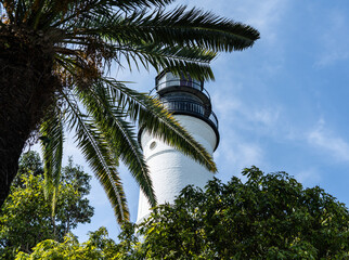 Palm Tree with Key West Lighthouse in Southern Most Part of Florida.