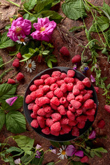 Summer still life with, raspberries, flowers and meadow grasses.