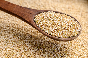 raw quinoa seeds