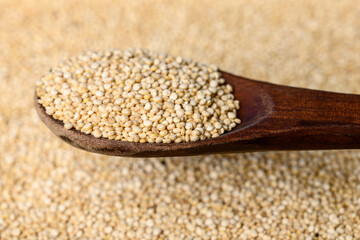 raw quinoa seeds
