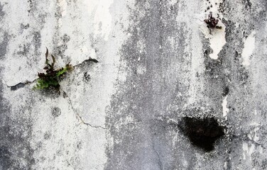 concrete wall paper background texture, abstract background with dirty covered wall theme,Cracks on grunge backgrounds