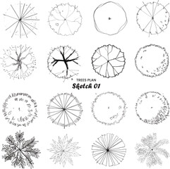 Trees Plan Sketch 01 © Natta