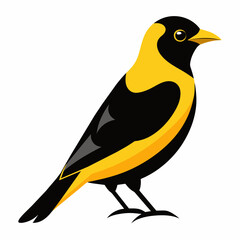A stunning male black and yellow broadbill showcases his beauty isolated  vector illustration