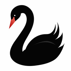 Swan vector silhouette on white background 
