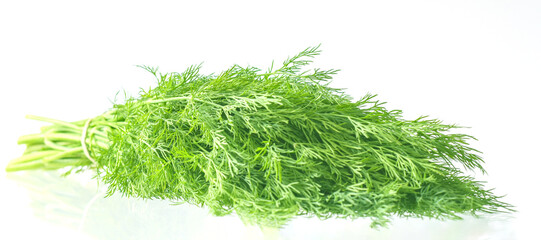 Dill isolated on white background