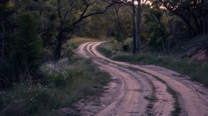 Fototapeta premium Winding Dirt Road Through Peaceful Forest