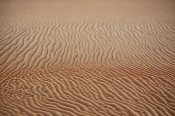 Obraz premium ripples in the sand