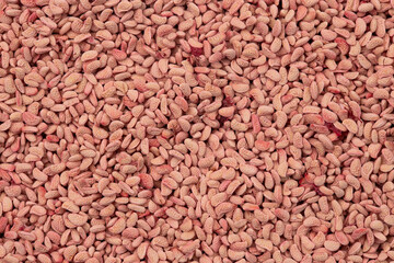 A Background of Red Raspberry Seeds in an Up Close Macro View