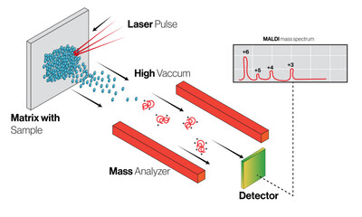 Matrix Assisted Laser Desorption Ionization MALDI Working Principle and Instrumentation, Scientific Vector Illustration.