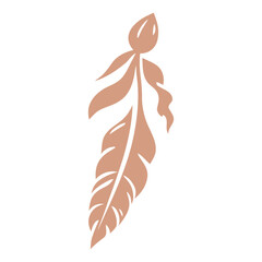 A boho feather in a light brown color