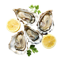 fresh oysters and lemon on png background