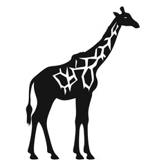 Fototapeta premium A black silhouette of a giraffe against a white background
