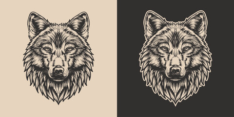 Obraz premium Vintage retro engraving woodcut style sketch draw paint of head face portrait wild animal wolf predator illustration