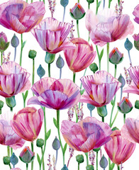 Seamless floral  pattern. Pink flowers  background. Watercolor illustration.